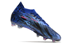 Carregar imagem no visualizador da galeria, Adidas Predator Accuracy .1 FG - Pogba